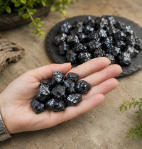 Elite Shungite stones