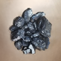 Elite Shungite rocks