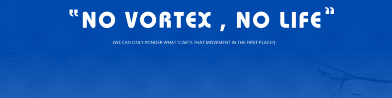 ELFET - movement is life